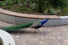 20190613_165513