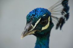 DSC03071